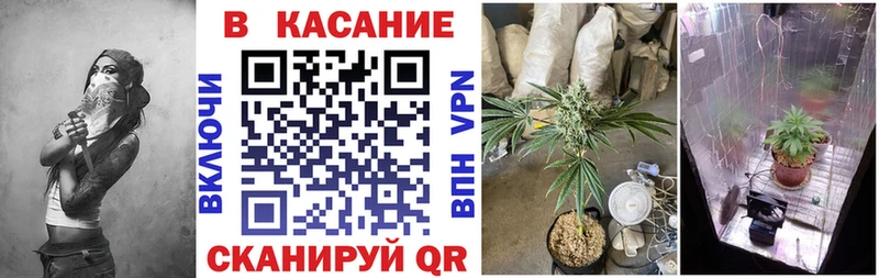 Как найти закладки Пустошка Канабис  СОЛЬ  Гашиш  Меф мяу мяу 