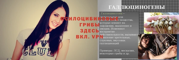 прущий лед Алексин