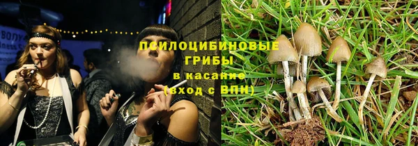 прущий лед Алексин